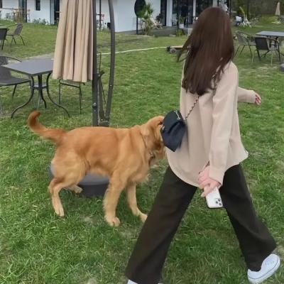 平行的世界